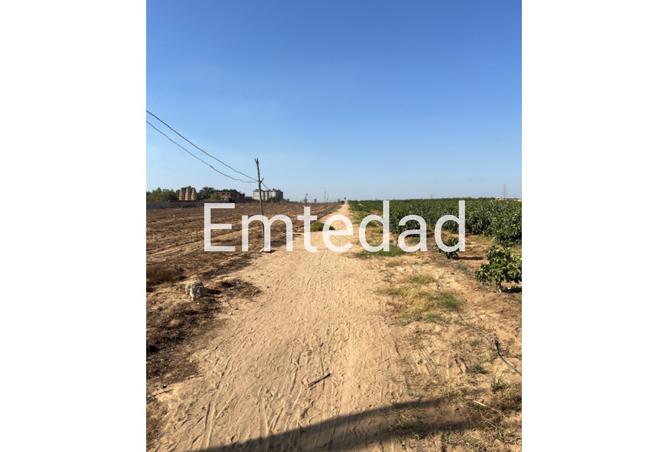 8220008 - Property Image 3