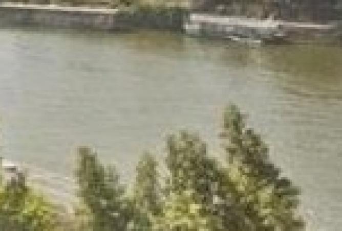 8101302 - صورة العقار 3