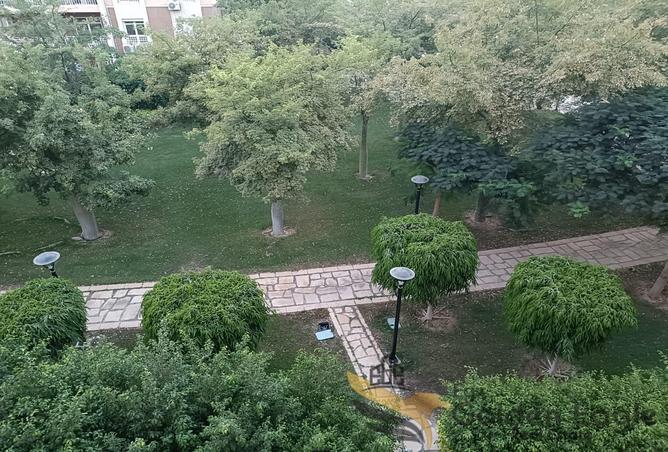 7943450 - صورة العقار 2