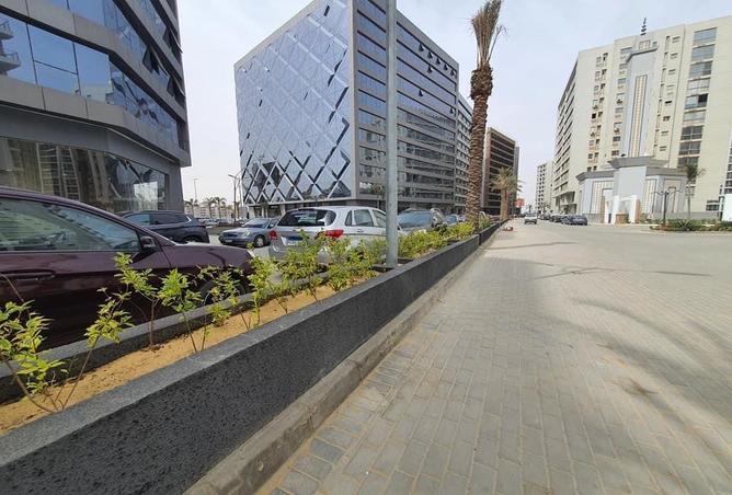 8550460 - Property Image 3