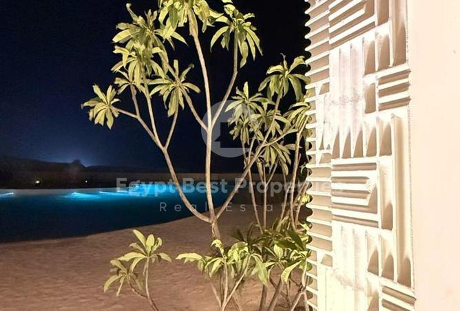 7884558 - Property Image 3