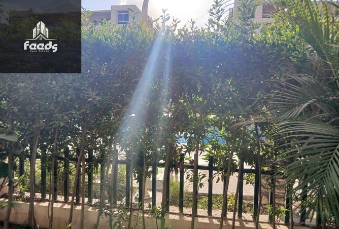 7969829 - Property Image 3