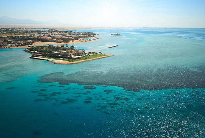 8005411 - صورة العقار 3