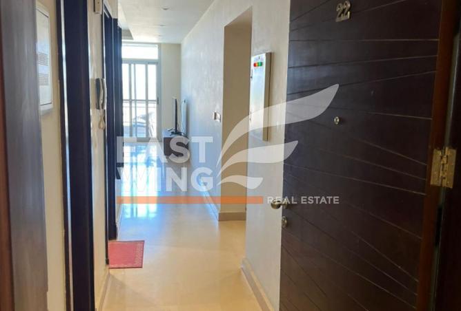 8096618 - Property Image 3
