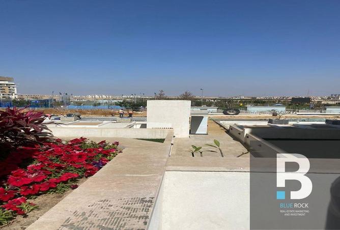 7496341 - Property Image 3