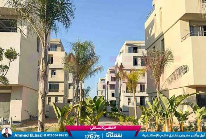 8339678 - صورة العقار 2