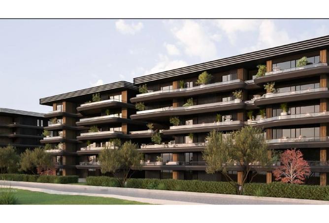 8020410 - Property Image 2