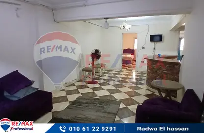 Apartment - 2 Bedrooms - 1 Bathroom for rent in Mohammad Ngeeb Street - Sidi Beshr - Hay Awal El Montazah - Alexandria