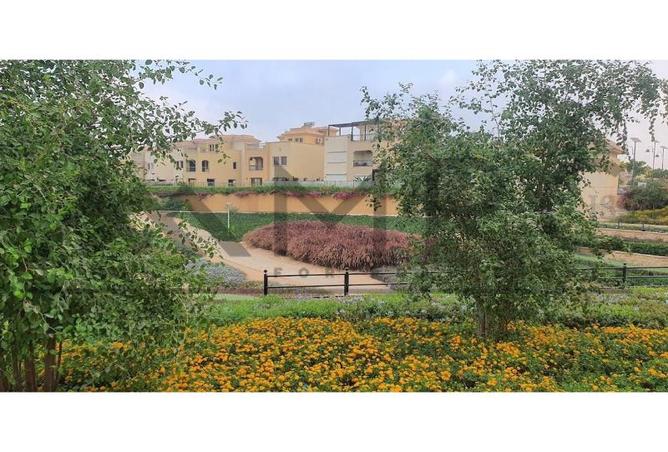 7975474 - Property Image 2