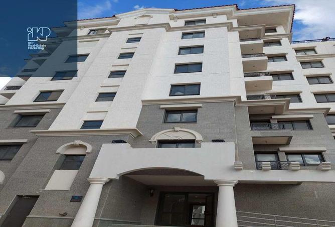 8117203 - Property Image 3