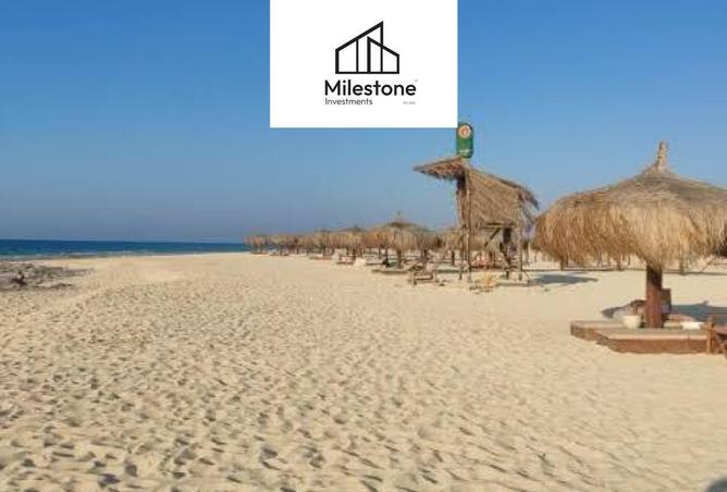 8516693 - Property Image 3