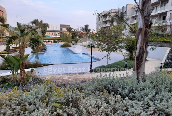 8164470 - Property Image 3