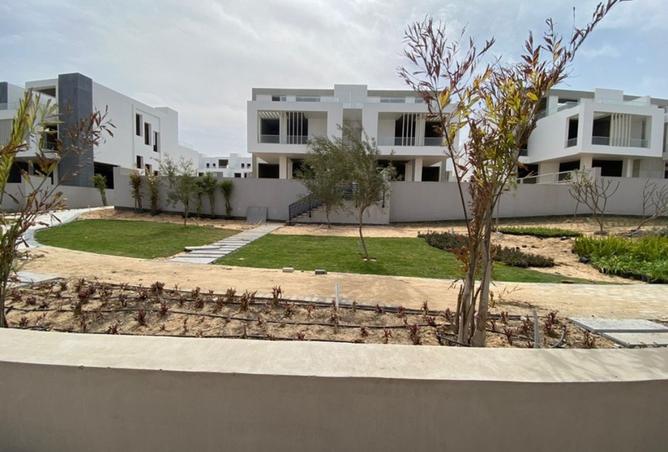 8300290 - صورة العقار 3