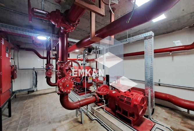 8367406 - صورة العقار 3