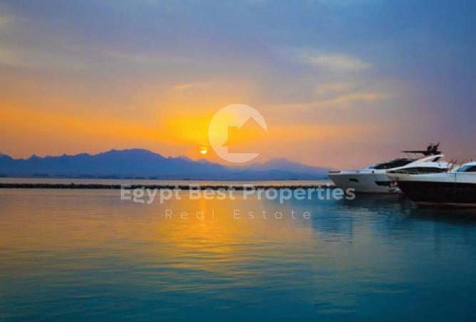 8460474 - صورة العقار 3