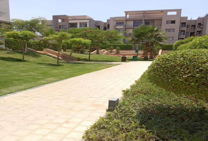 8264328 - Property Image 3