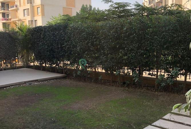 8374885 - Property Image 2