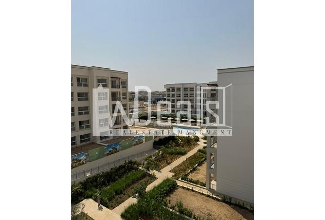 7904765 - صورة العقار 2