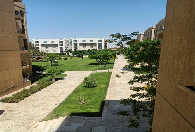7965390 - صورة العقار 3