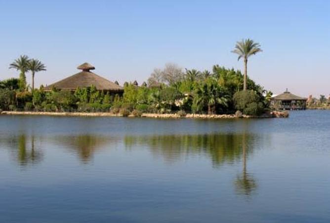 8389609 - صورة العقار 2