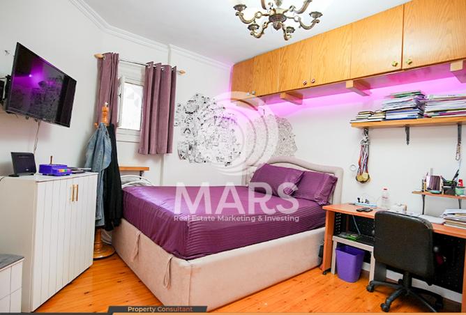 8316239 - Property Image 3