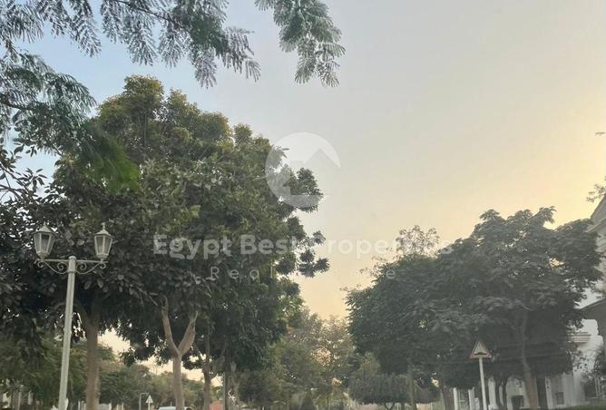 8464099 - صورة العقار 2