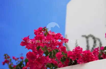 Chalet - 2 Bedrooms - 2 Bathrooms for sale in Direction White - Ras Al Hekma - North Coast