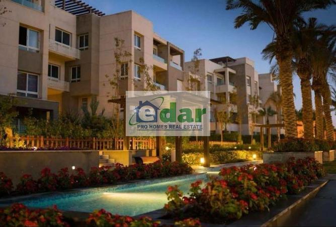 8202704 - Property Image 3