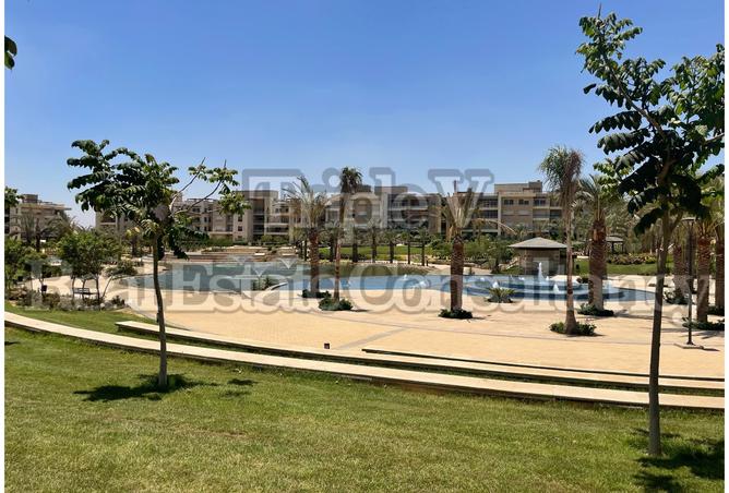 8187322 - Property Image 2