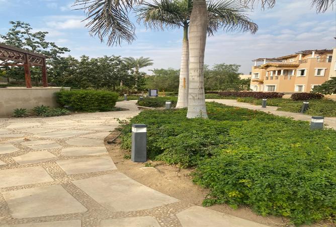 7985831 - صورة العقار 3