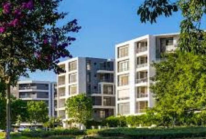 8000772 - Property Image 3