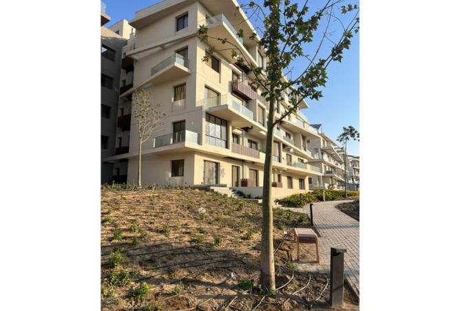 8433986 - Property Image 3