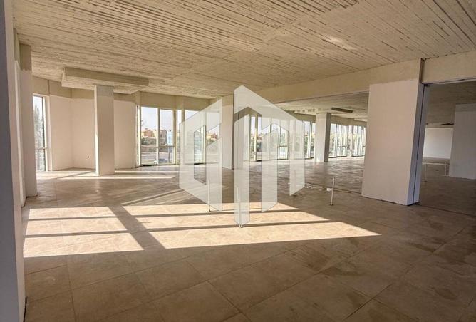 7961678 - Property Image 3