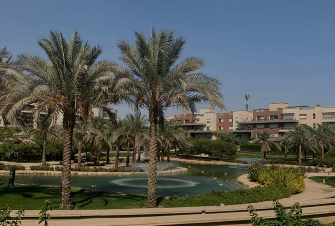 8115446 - صورة العقار 2