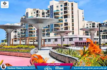 شقة - 2 غرف نوم - 1 حمام للبيع في الداون تاون - مدينة العلمين الجديدة - العلمين - الساحل الشمالي شقة - 2 غرف نوم - 1 حمام للبيع في الداون تاون - مدينة العلمين الجديدة - العلمين - الساحل الشمالي