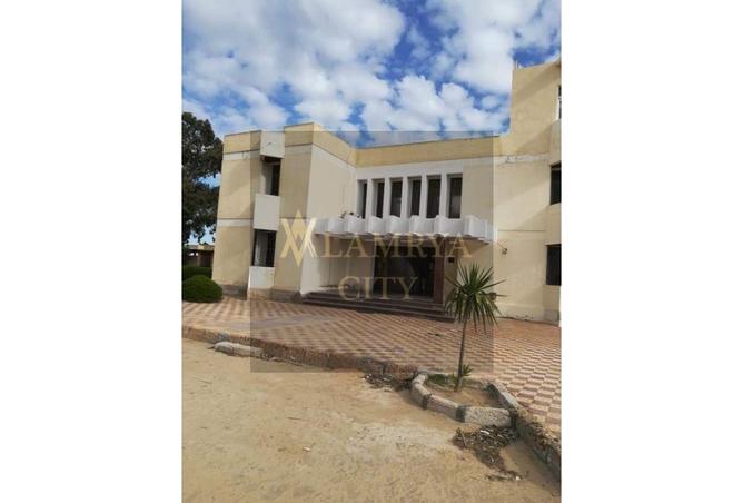 8194672 - Property Image 3