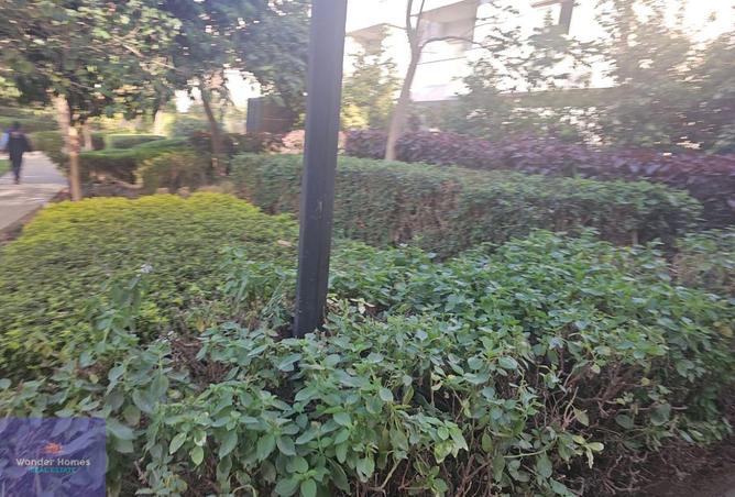 8378906 - Property Image 2