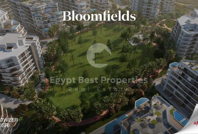 8272243 - صورة العقار 2