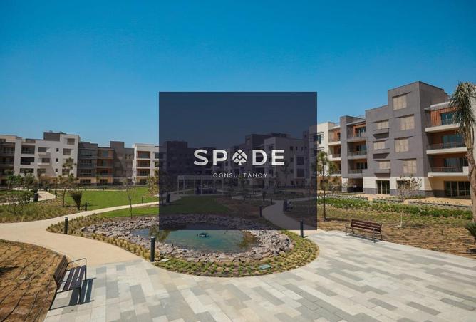 8389291 - صورة العقار 3