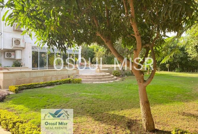 8359360 - صورة العقار 3