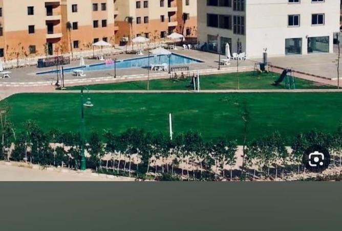 8432282 - Property Image 2