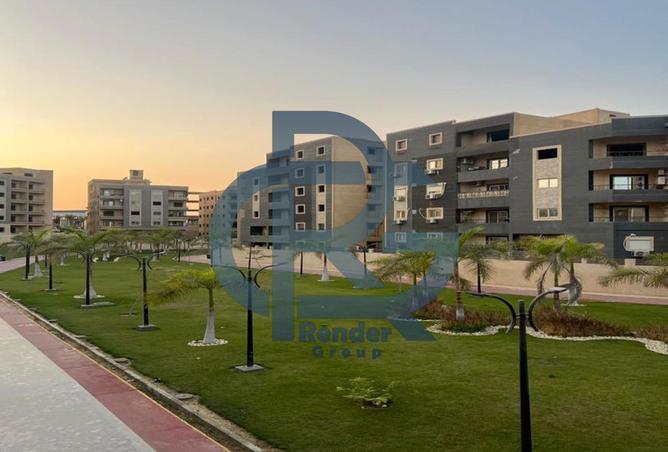 8361409 - Property Image 3