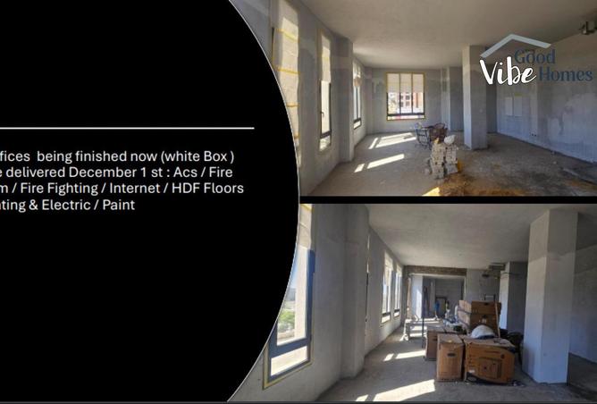 8198869 - Property Image 3