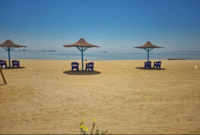 8296116 - صورة العقار 3