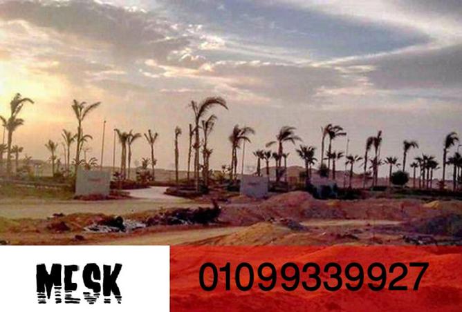 8352701 - صورة العقار 3