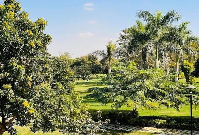 8078831 - صورة العقار 3