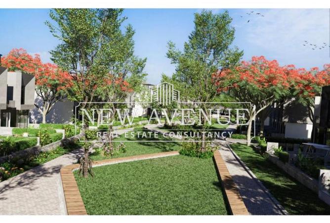 8241079 - Property Image 3