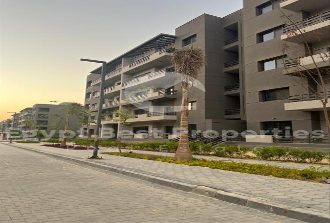 7978461 - Property Image 2