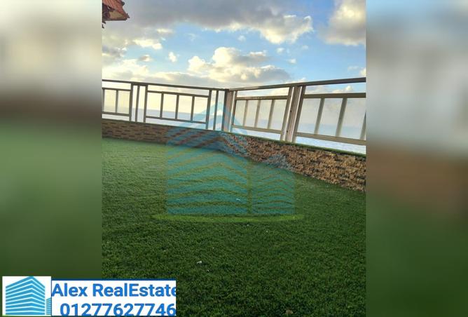 8008404 - Property Image 2