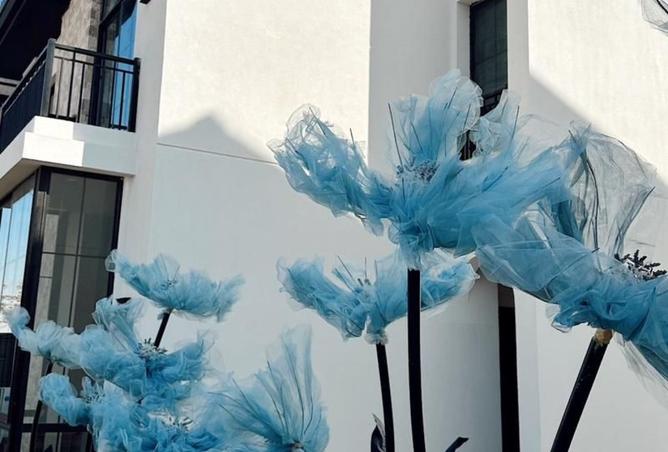 8204614 - Property Image 3